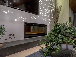 Очаг Dimplex Synergy в телепроекте «Дачный ответ» Фото 6.