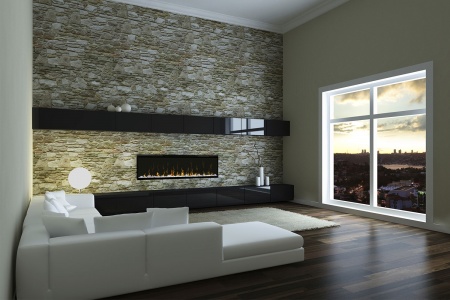 Dimplex Ignite XLF50.  2.